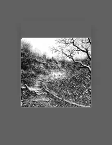 Listen to The Winetree, watch music videos, read bio, see tour dates & more!