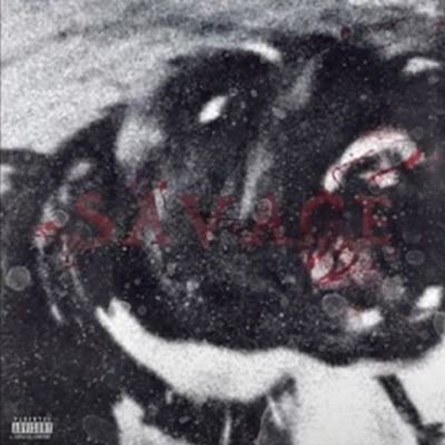 Savage - Single