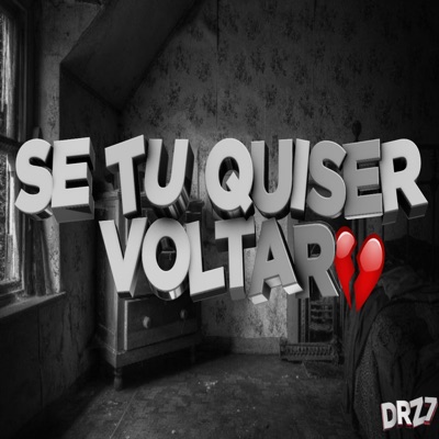 Se Tu Quiser Voltar - Single