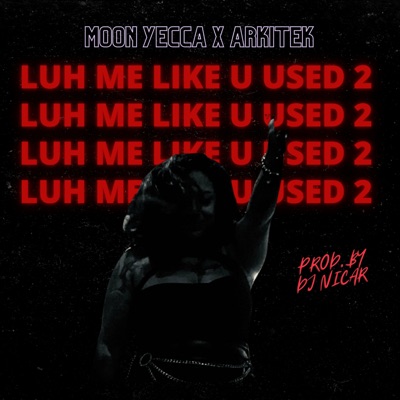 Luh Me Like U Used 2 (feat. Arkitek MrJ) - Single