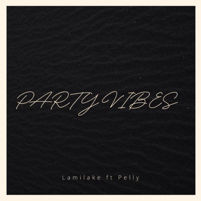 Party Vibes (feat. Lamilake & Pelly) - Single