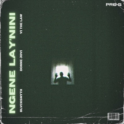 Ngene Lay'nini (feat. Blvcksmyth, Donne Jovi & VI The Law) - Single