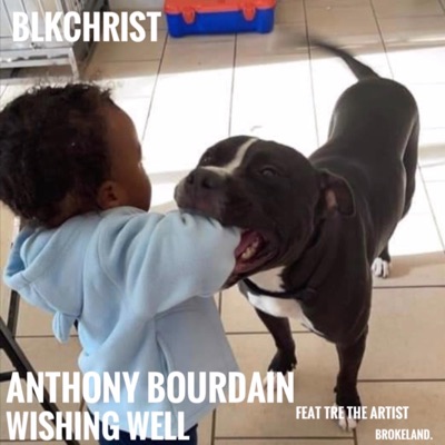 Wishing Well - Single