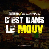 Dans le mouv (feat. Elams) - Single - Dadinho & Stef Becker
