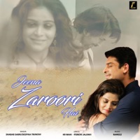 Jeena Zaroori Hai - Single - Shabab Sabri & Deepika Tripathy