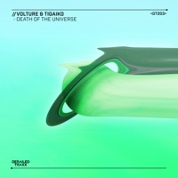 Death of the Universe - Single - Volture & Tigaiko