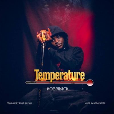 Temperature - Single