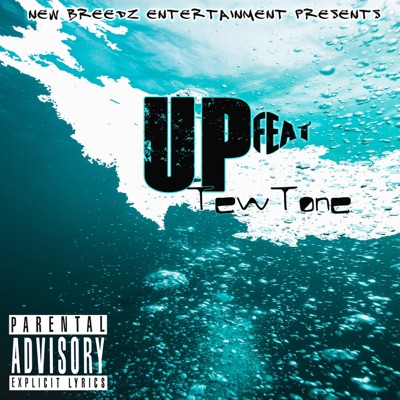 Up (feat. Visiontunnel & TewTone) - Single