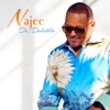 Najee - Dr. Doolittle (feat. Frank Wilkens)