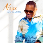 Najee - Dr. Doolittle (feat. Frank Wilkens)