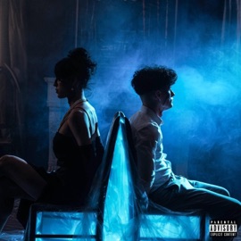 You Won't Understand (feat. JAHSH & Mightbeleo) Dimi