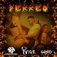 Perreo (feat. Nuboone) - Single - Nasvil