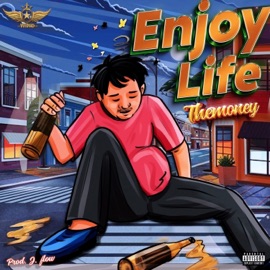 Enjoy Life (Do It) TheMoney