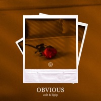 Obvious (feat. Please Magic) - Single - Colt & Lipip