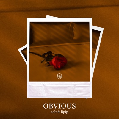 Obvious (feat. Please Magic) - Single
