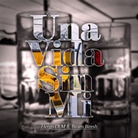 Una Vida Sin Mi (feat. Biram Biresh) - Single - Hergo DLM