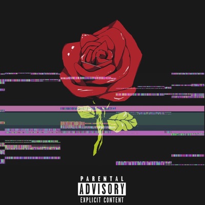 秘密 - Single