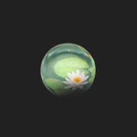 Garten mit Teich - Single - Planemo & Kendoh