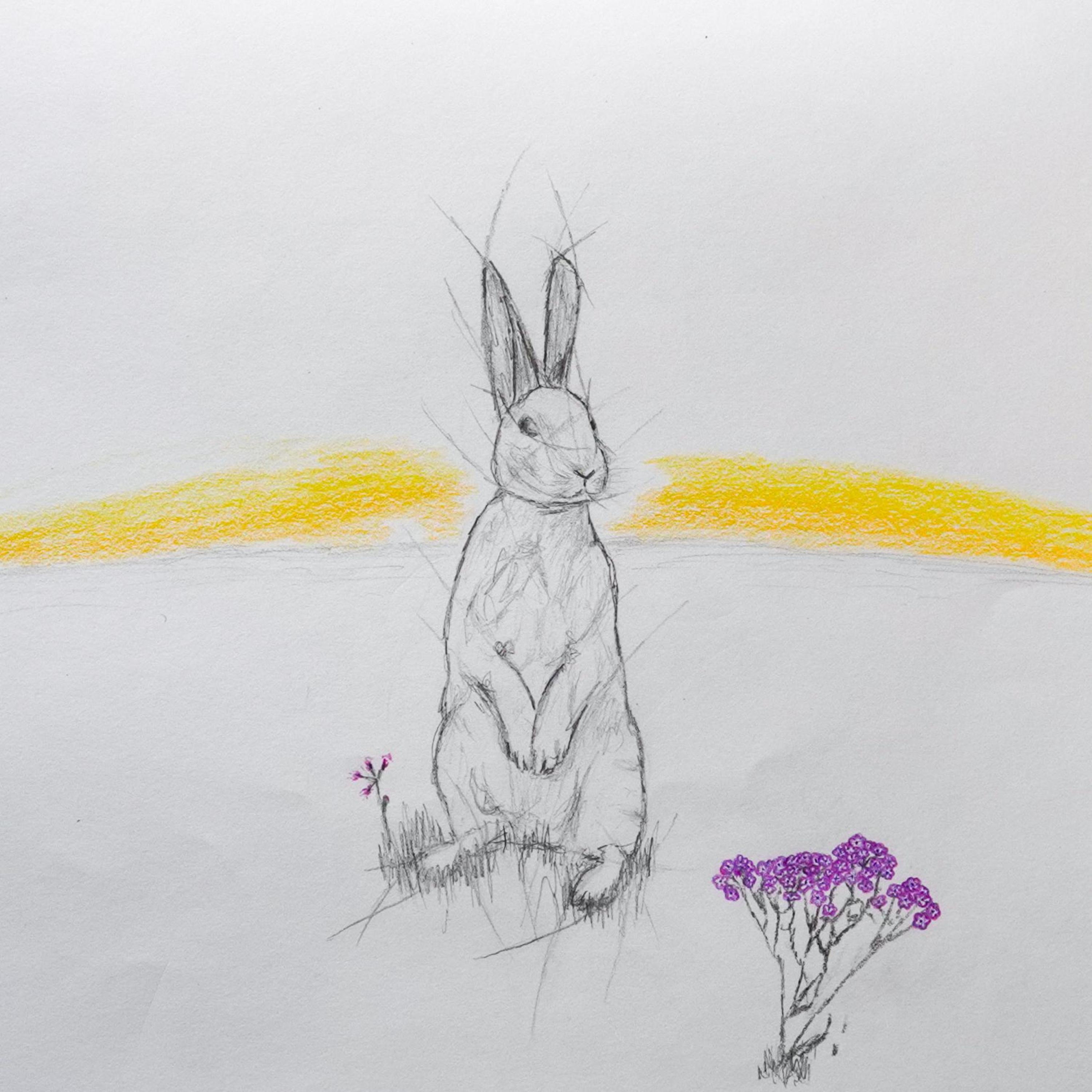 Lussier Happenings for March - The LCEC March Events