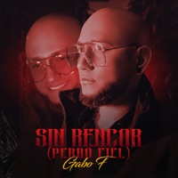 Sin Rencor (Perro Fiel)