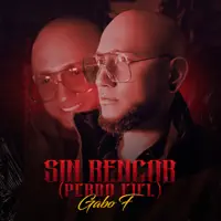 Sin Rencor (Perro Fiel)