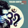 Trilok Gurtu Future Heat Izzat (The Trilok Gurtu Remix Album)