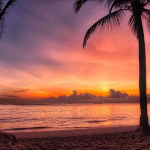 Chill Island