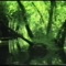 Green Rain - Mvzonik lyrics