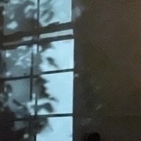 I Love U - Single - HATE LOSER