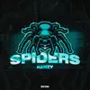 Stream & download Spiders - Single