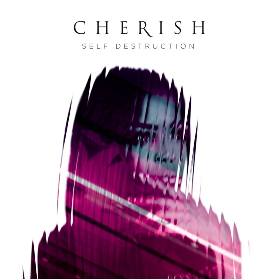 Cover artwork for Self Destruction