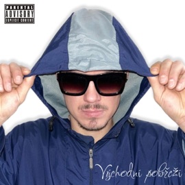 Vize (feat. Stiff Jangle) NYKO BOY