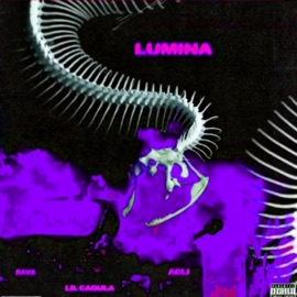 LUMINĂ (feat. Lil Cagula, Rava & Acli) Lil Tayer