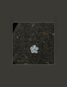 Hör dir Melodahlia an, schau dir Musikvideos an, lies die Biografie, finde Tourdaten und mehr!