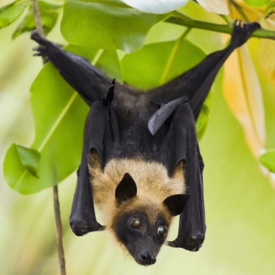 PROVE IT (breakupbreakdown) - Single