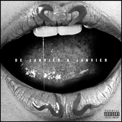 De janvier à janvier - Single