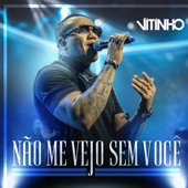 Não Me Vejo Sem Você (Ao Vivo) artwork