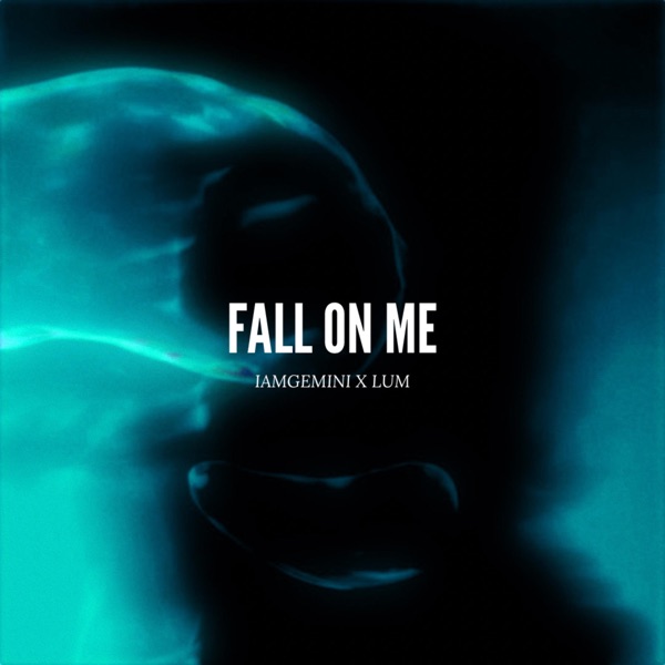 Fall on Me (Remixes) [feat. LUM] - Single