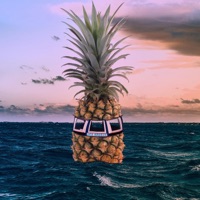 Sea Breeze Beats Summer 2022 - Rat King