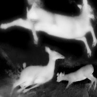 How Memory Works - Gabe Gill