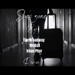 She's Gone (feat. McA$h & Irban Phyr) [Remix] - Single