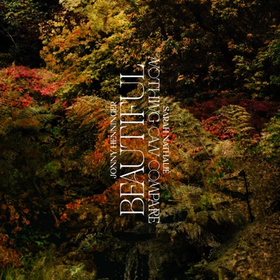 Beautiful / Nothing Can Compare - Single