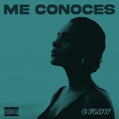 Me Conoces - Single