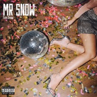 Mr Snow - Single - Tom Snow