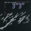 Marvin Gaye - You're a Wonderful One (Single Version) artwork