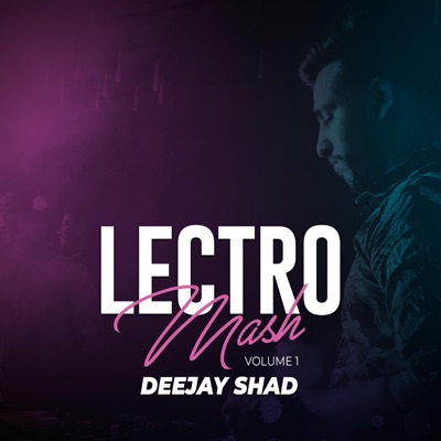 LectroMash Vol. 1 (Remix) - EP