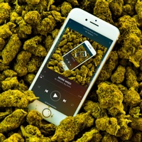 More Weed (feat. Big Zeeks) - Single - Mr. Williamz