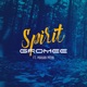 Spirit feat Mahan Moin Extended Version Single