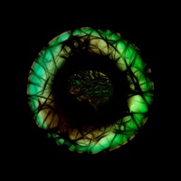 I Like the Way It Feels - Single - The Young Sires