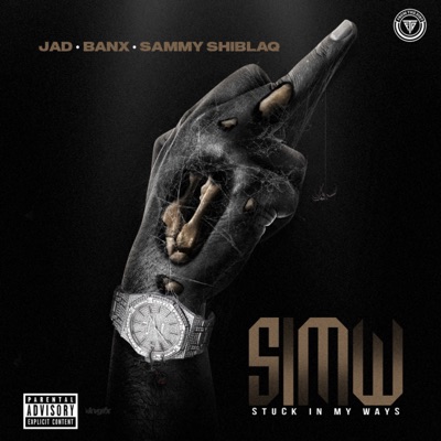 Stuck In My Ways(SIMW) (feat. JAD, BANX & SAMMY SHIBLAQ) - Single